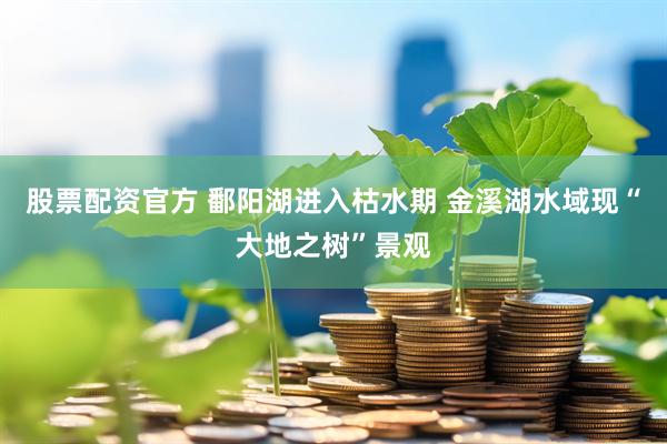 股票配資官方 鄱陽湖進入枯水期 金溪湖水域現(xiàn)“大地之樹”景觀